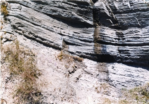 চিত্র:GeologicalGroupFormationBokabil.jpg