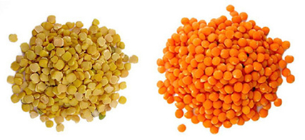 চিত্র:Pulse01.jpg