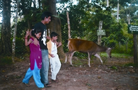 চিত্র:DulaHazraSafariPark.jpg