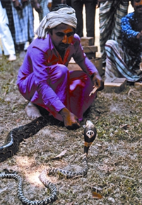 চিত্র:FolkGameBedey1.jpg