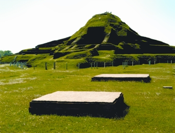 চিত্র:PaharpurMahavihara.jpg