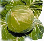 চিত্র:Cabbage.jpg