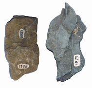 চিত্র:RocksAndMinerals3.jpg