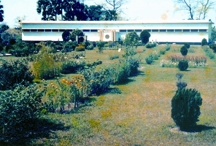 চিত্র:MahasthanMuseum.jpg