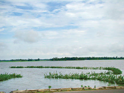 চিত্র:ChalanBeel.jpg