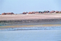 চিত্র:Char3.jpg