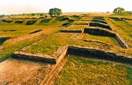 চিত্র:Bhashuvihara1.jpg