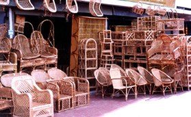চিত্র:Cane.jpg