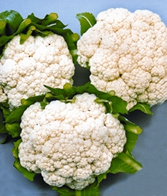 চিত্র:Cauliflower.jpg