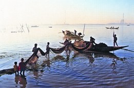 চিত্র:FisheriesSea2.jpg