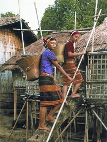 চিত্র:TribalCultureHouse.jpg