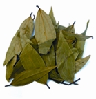 চিত্র:BayLeaf.jpg