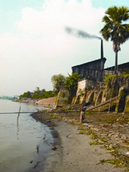 চিত্র:EnvironmentPollution3.jpg