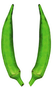 চিত্র:Okra2.jpg