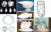 চিত্র:Shankha.jpg