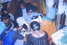 চিত্র:Tonchonga2.jpg
