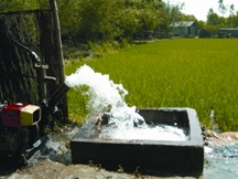 চিত্র:AgricultureIrrigation.jpg