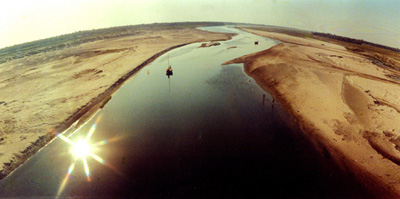 চিত্র:Char3IslandChar.jpg