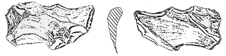 চিত্র:Prehistory02.jpg