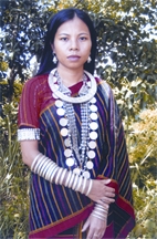 চিত্র:TribalCultureOrnament.jpg