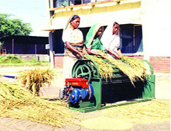 চিত্র:RiceThreshing3.jpg