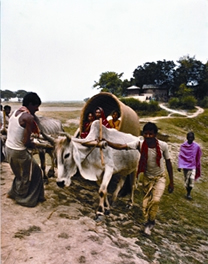 চিত্র:BullockCort.jpg