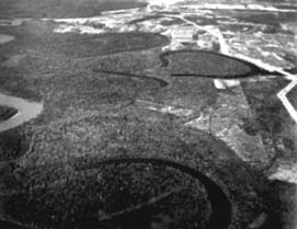 চিত্র:OxbowLakeFloodplain.jpg
