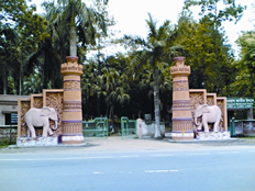 চিত্র:BhawalNationalPark.jpg