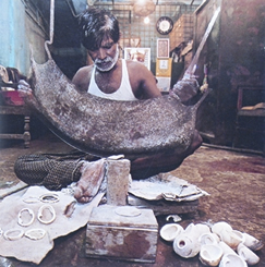 চিত্র:ConchCraft.jpg