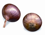 চিত্র:Onion.jpg