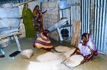 চিত্র:Dheki.jpg