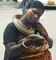 চিত্র:Bedey1.jpg