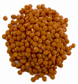 চিত্র:Lentil.jpg
