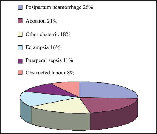 চিত্র:ReproductiveGraphEnglish.jpg