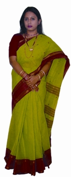 চিত্র:Sari2.jpg