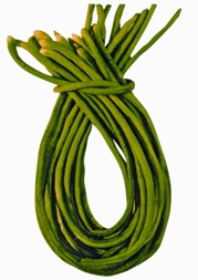 চিত্র:BeanLong.jpg