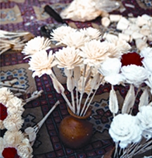 চিত্র:SolaCraft.jpg