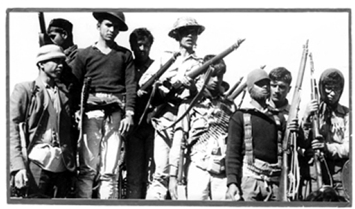 চিত্র:WarOfLiberationVictoryDay.jpg