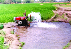 চিত্র:Farming03.jpg