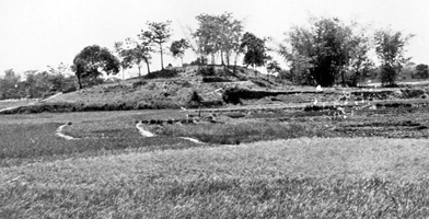 চিত্র:GodaibariDhap.jpg