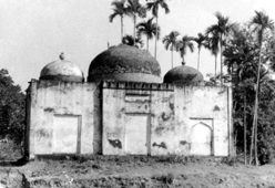 চিত্র:ShahShujaMosqueWalipur.jpg