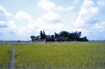 চিত্র:RuralArchitecture1.jpg
