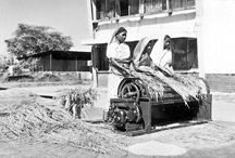 চিত্র:AgricultureThreshing1.jpg