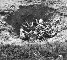 চিত্র:GenocideShiyalbari.jpg
