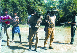 চিত্র:WarOfLiberationSurrender.jpg
