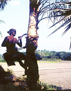 চিত্র:Gachhi.jpg