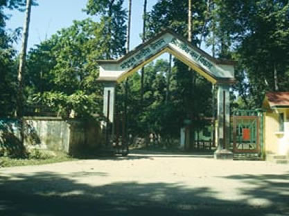 চিত্র:MadhupurNationalPark.jpg