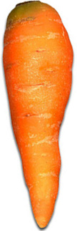 চিত্র:Carrot.jpg