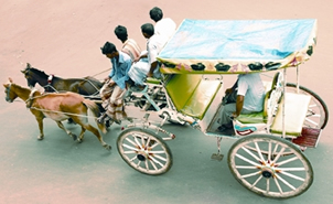 চিত্র:HorseCartPresent.jpg