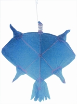 চিত্র:Kite3.jpg